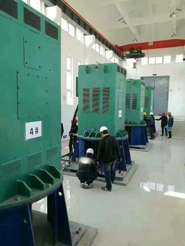 莆田某污水处理厂使用我厂的立式高压电机安装现场